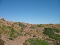 Wanderung von Cala Tirant an den Strand von Binimel-lá