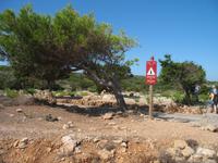 Wanderung von Cala Tirant an den Strand von Binimel-lá