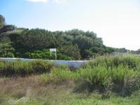 Wanderung von Cala Tirant an den Strand von Binimel-lá