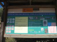 Wanderung von Cala Tirant an den Strand von Binimel-lá