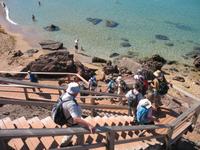 Wanderung von Cala Tirant an den Strand von Binimel-lá