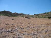 Wanderung von Cala Tirant an den Strand von Binimel-lá