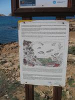 Wanderung von Cala Tirant an den Strand von Binimel-lá