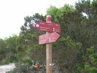 Fakultativer ganztägiger Bootsausflug