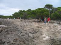 Fakultativer ganztägiger Bootsausflug