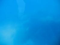 Von Cala Blanca über Maó-Mahón, Binibeca nach Cova d'en Xoroi