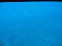 Von Cala Blanca über Maó-Mahón, Binibeca nach Cova d'en Xoroi