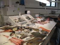 Von Cala Blanca über Maó-Mahón, Binibeca nach Cova d'en Xoroi