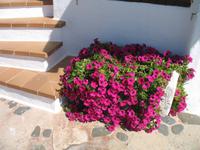 Von Cala Blanca über Maó-Mahón, Binibeca nach Cova d'en Xoroi