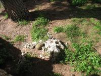 Von Cala Blanca über Maó-Mahón, Binibeca nach Cova d'en Xoroi