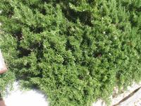 Von Cala Blanca über Maó-Mahón, Binibeca nach Cova d'en Xoroi