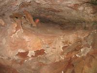 Von Cala Blanca über Maó-Mahón, Binibeca nach Cova d'en Xoroi