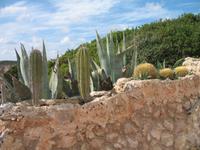 Von Cala Blanca über Maó-Mahón, Binibeca nach Cova d'en Xoroi