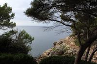 Wanderung von Sant Tomàs an den Strand von Cala Galdana