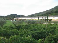 Ganztägiger Ausflug Xauxa - Das verborgene Menorca