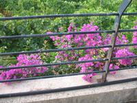 Ganztägiger Ausflug Xauxa - Das verborgene Menorca