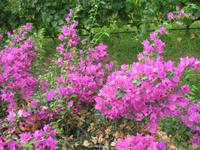 Ganztägiger Ausflug Xauxa - Das verborgene Menorca