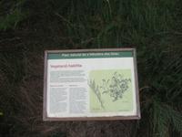 Ganztägiger Ausflug Xauxa - Das verborgene Menorca