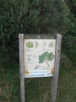 Ganztägiger Ausflug Xauxa - Das verborgene Menorca