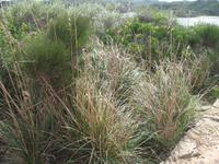 Ganztägiger Ausflug Xauxa - Das verborgene Menorca