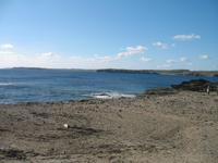 Wanderung im Naturpark S’Albufera von Favaritx nach Es Grau 