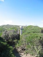 Wanderung im Naturpark S’Albufera von Favaritx nach Es Grau 