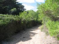 Wanderung im Naturpark S’Albufera von Favaritx nach Es Grau 