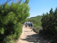 Wanderung im Naturpark S’Albufera von Favaritx nach Es Grau 