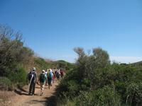 Wanderung im Naturpark S’Albufera von Favaritx nach Es Grau 