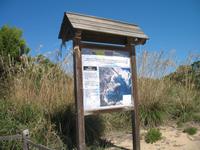 Wanderung im Naturpark S’Albufera von Favaritx nach Es Grau 