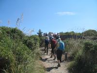 Wanderung im Naturpark S’Albufera von Favaritx nach Es Grau 