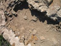 Wanderung im Naturpark S’Albufera von Favaritx nach Es Grau 