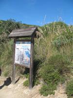Wanderung im Naturpark S’Albufera von Favaritx nach Es Grau 