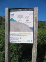 Wanderung im Naturpark S’Albufera von Favaritx nach Es Grau 