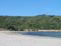 Wanderung im Naturpark S’Albufera von Favaritx nach Es Grau 