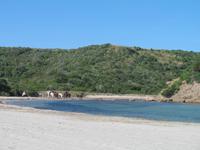 Wanderung im Naturpark S’Albufera von Favaritx nach Es Grau 