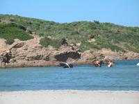 Wanderung im Naturpark S’Albufera von Favaritx nach Es Grau 