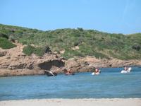 Wanderung im Naturpark S’Albufera von Favaritx nach Es Grau 