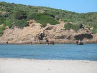 Wanderung im Naturpark S’Albufera von Favaritx nach Es Grau 