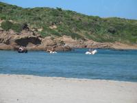 Wanderung im Naturpark S’Albufera von Favaritx nach Es Grau 