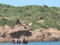 Wanderung im Naturpark S’Albufera von Favaritx nach Es Grau 