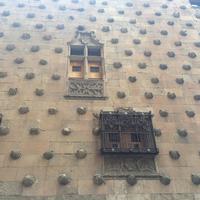 327 Muschelhaus - Bibliothek