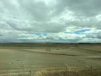 335 Impressionen Kastilien Leon