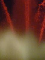 Zauberbrunnen Plaza Espana