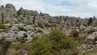 El Torcal de Antequera - Wanderreise Spanien – zu Fuß durch sonniges Andalusien