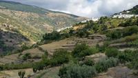 Die Alpujarras - Wanderreise Spanien – zu Fuß durch sonniges Andalusien