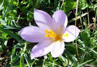 Die Alpujarras - Wanderreise Spanien – zu Fuß durch sonniges Andalusien