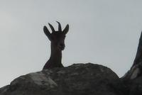 El Torcal de Antequera - Wanderreise Spanien – zu Fuß durch sonniges Andalusien