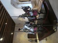 110 Segovia