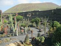 IMG_4997 Kaktusgarten